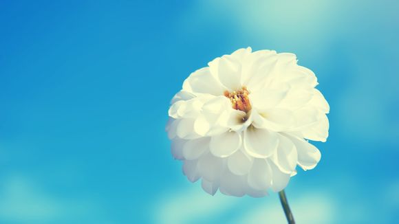 今年医学类成考