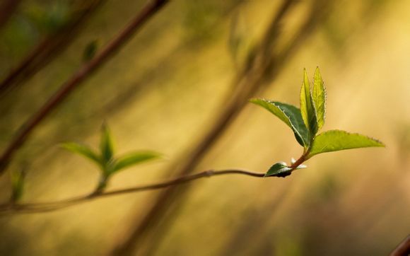 广东茂名自考本科报名入口？