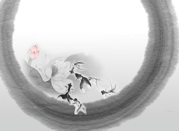 成考投档线和录取线