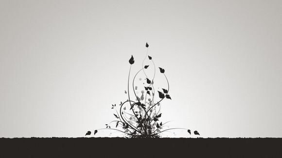 成考几月报名啊