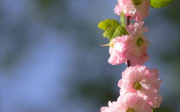 上海成考英语时间多长