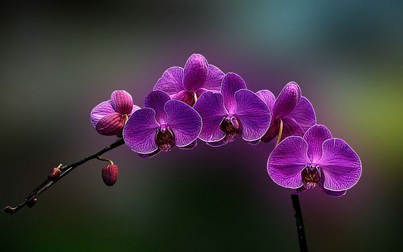 成考本科不能考公务员