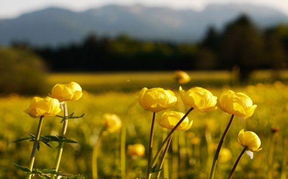 成考政治通用模板