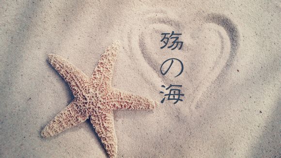 成考艺术概论教育理论